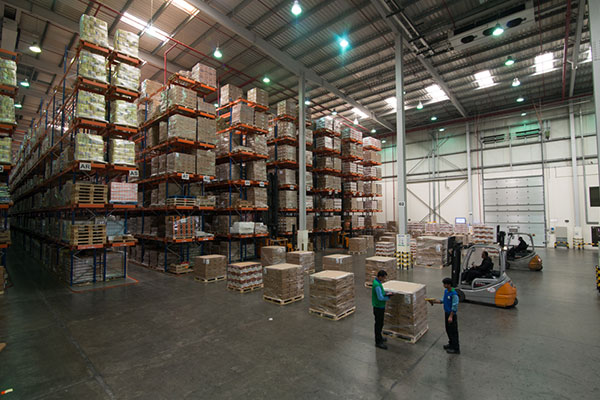 Cool Temperature Controlled Warehouse | Global Shipping & Logistics LLC